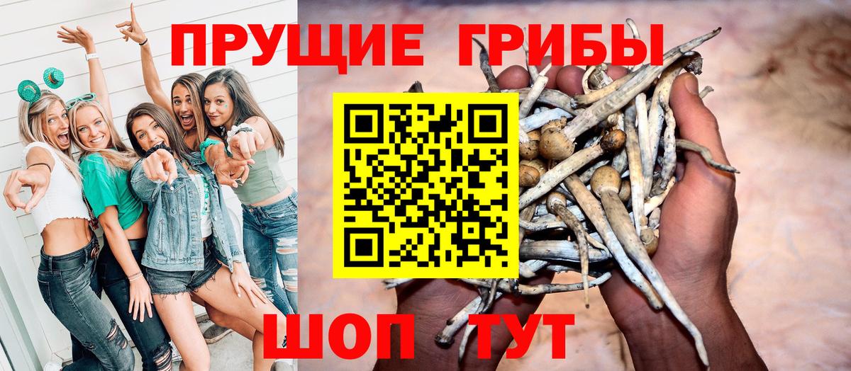 Псилоцибиновые грибы Magic Shrooms  Галлюциногенные грибы GOLDEN TEACHER  Барабинск  Вход с VPN 
